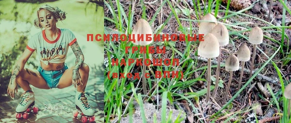 ALPHA PVP Майский