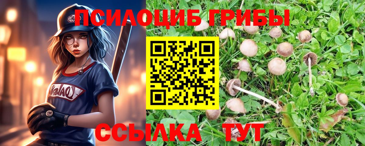 Галлюциногенные грибы прущие грибы Черемхово