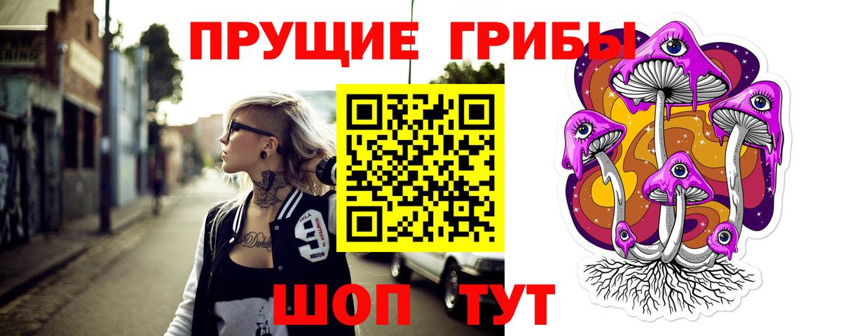 Галлюциногенные грибы Psilocybe Черемхово