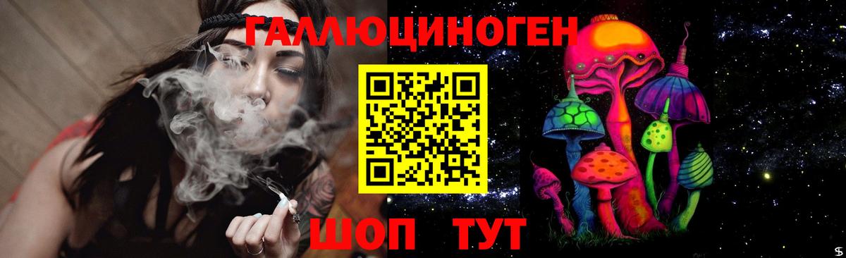 Псилоцибиновые грибы GOLDEN TEACHER  Вход с VPN  Черемхово  Псилоцибиновые грибы GOLDEN TEACHER 